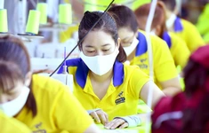 Công đoàn hợp nhất ở TP.HCM: Quản lý hàng chục nghìn cơ sở ra sao?